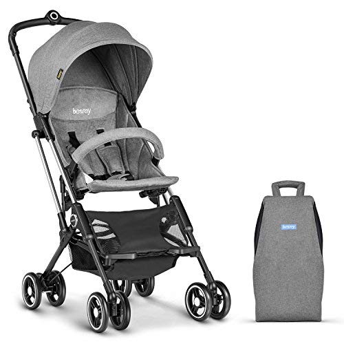 travel buggy for 6 month old