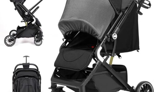 AOODIL Lightweight Reversible Stroller Review