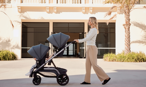 Environmental And Sustainability Considerations In Double Pram Production.